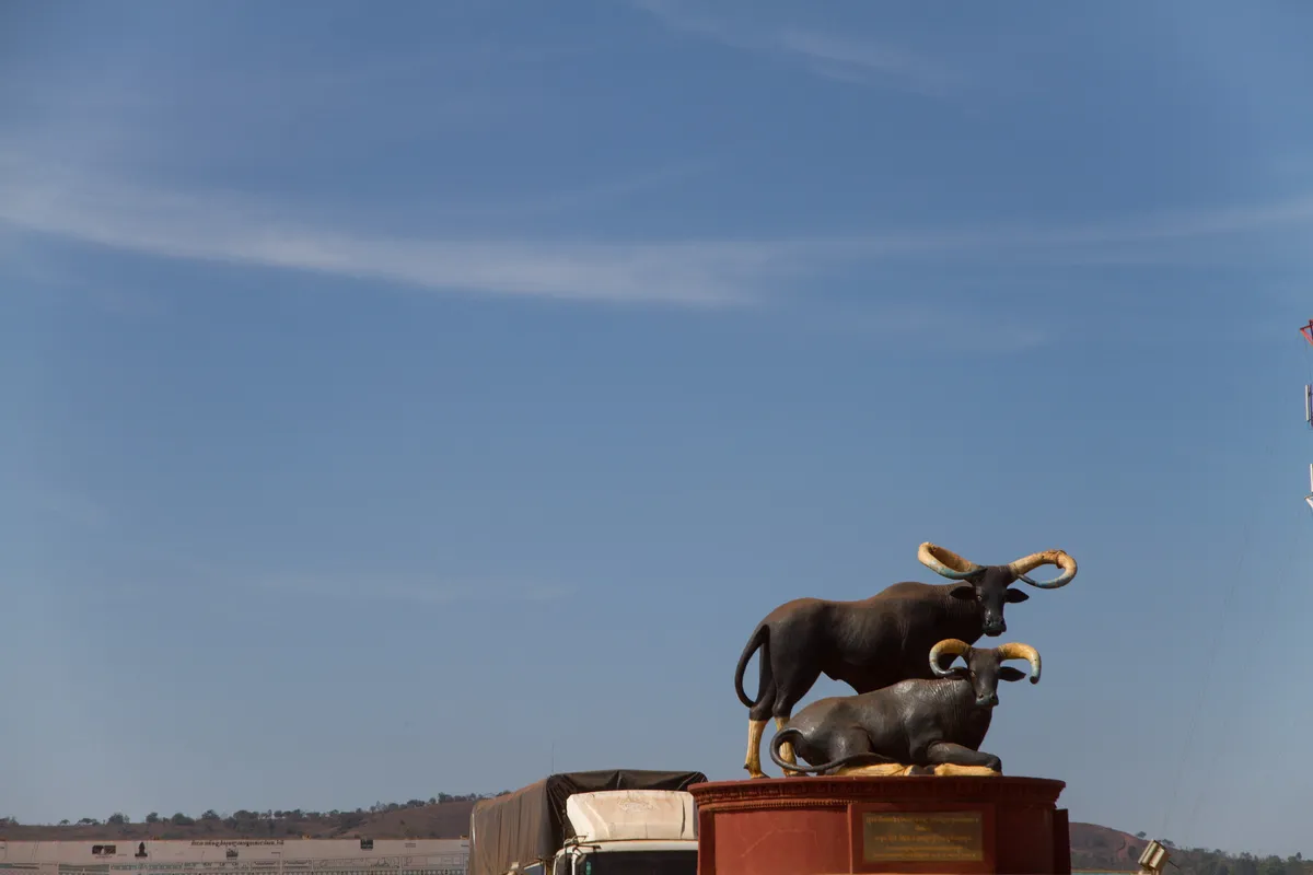 Statue of a kouprey, the monument and landmark of Saen Monourom in Mondulkiri Province, Cambodia